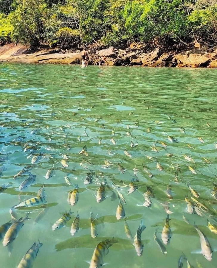 Pousada Recanto Som Do Mar كاراغواتاتوبا المظهر الخارجي الصورة